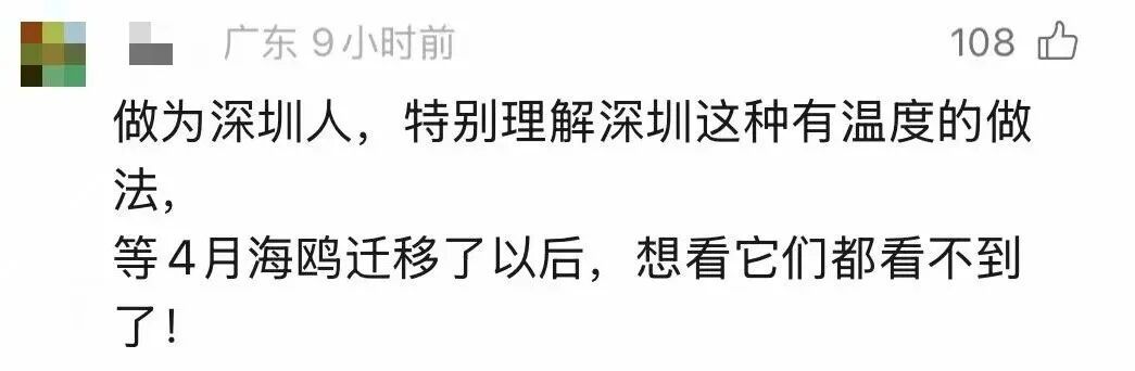 市民建议装灯，公园一口拒绝！却被全网称赞…