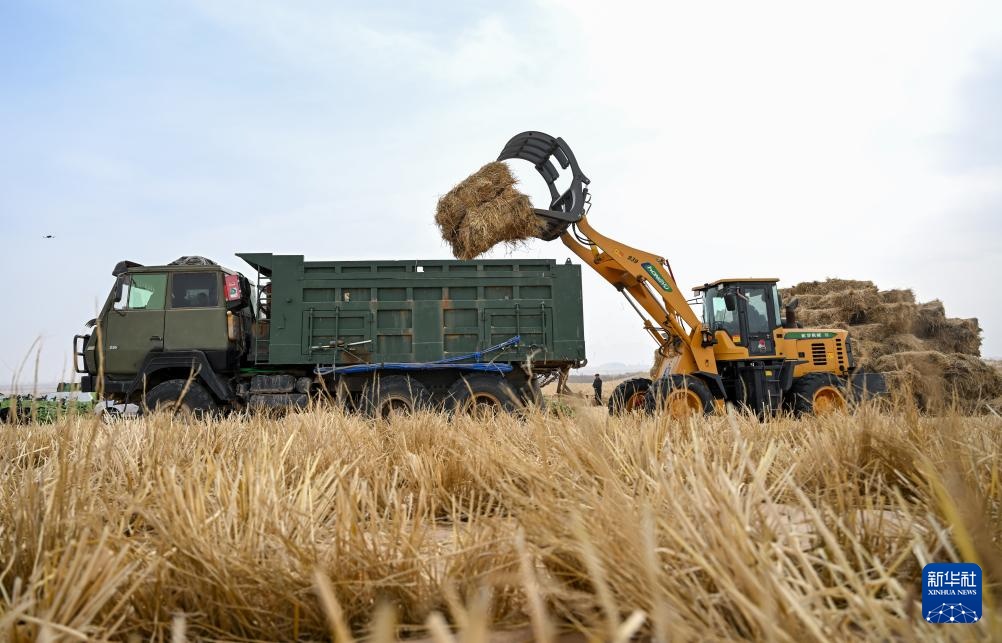 内蒙古阿拉善盟:2026年防沙治沙工程开工 内蒙古阿拉善盟:2026年防沙治沙工程开工