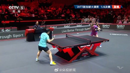 孙颖莎再胜早田希娜 孙颖莎再胜早田希娜