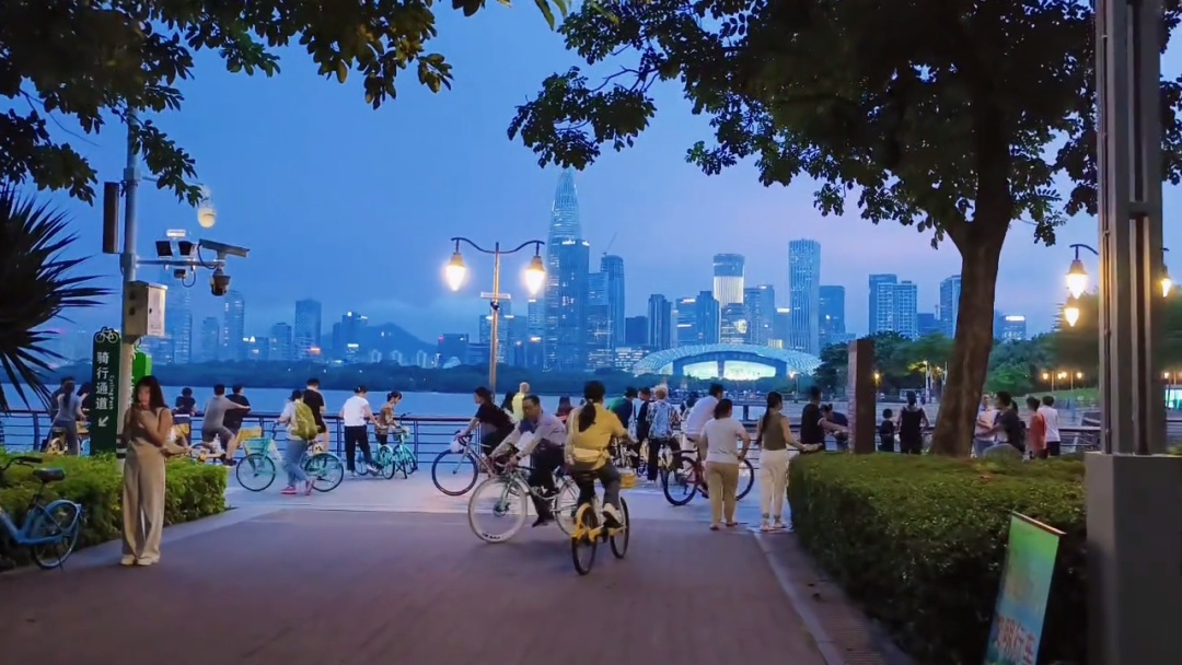 市民建议装灯,公园拒绝,网友却一片赞誉 市民建议装灯,公园拒绝,网友却一片赞誉