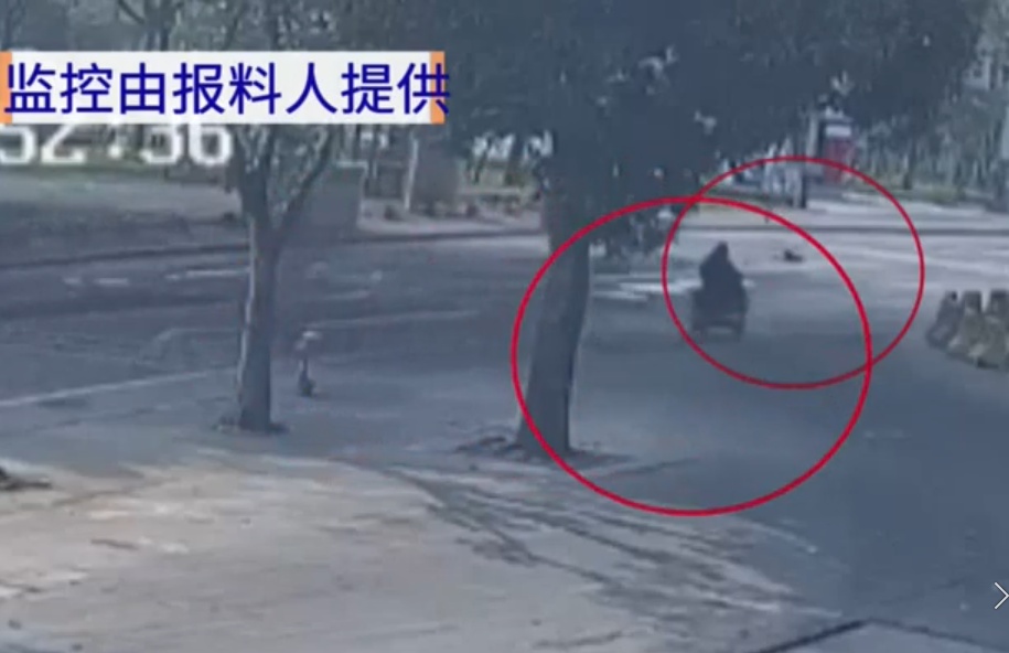 广东一网红宠物“李荣浩”走失,监控拍到倒地抽搐被人带走,主人:已报警,悬赏寻线索 广东一网红宠物“李荣浩”走失,监控拍到倒地抽搐被人带走,主人:已报警,悬赏寻线索