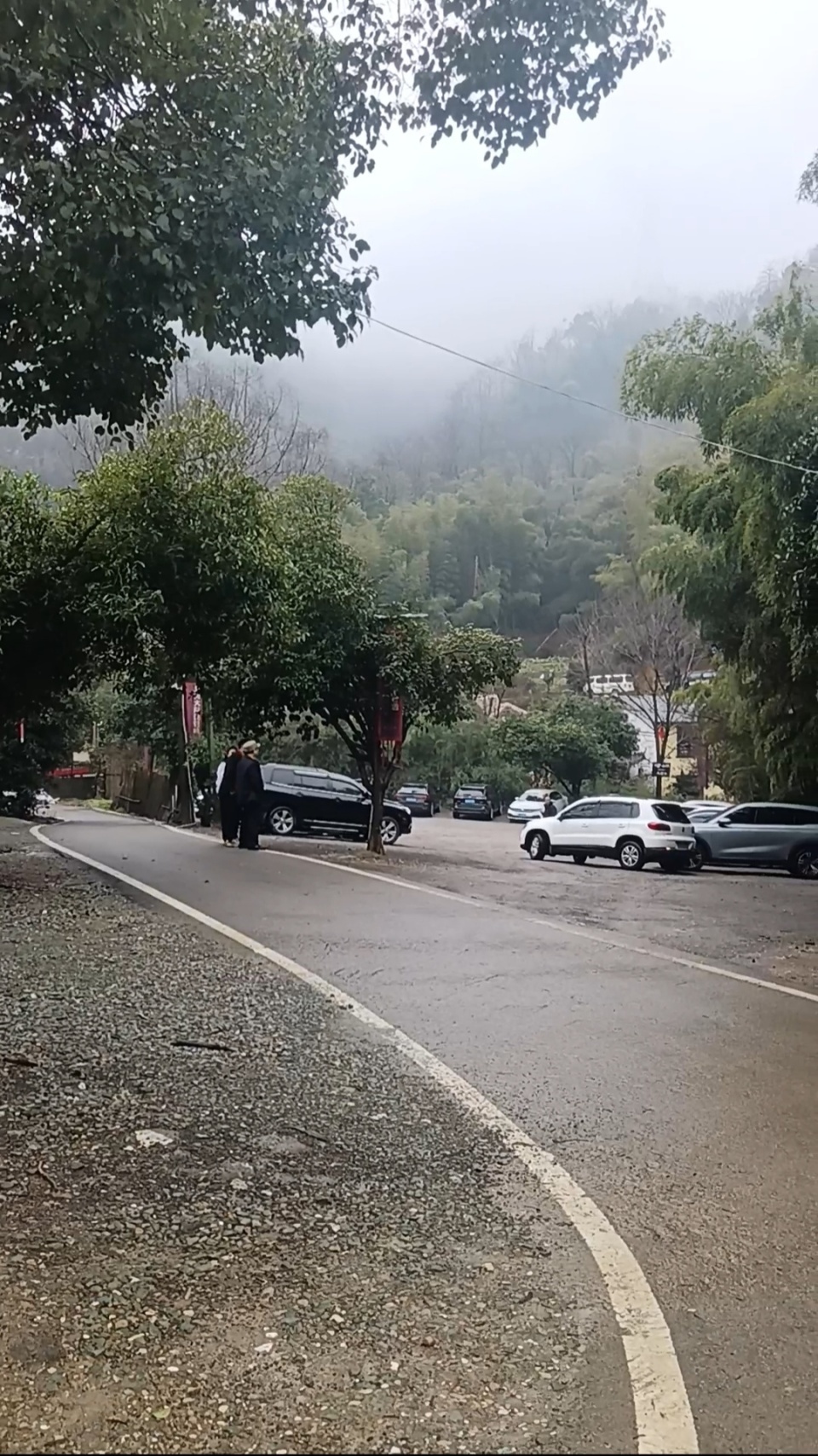 长沙一网红野爬山地发现响尾蛇？专家辨认系有毒的短尾蝮