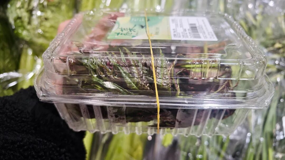 一天一个价！头茬上市，不少杭州人忍不住尝鲜！老板：可以再等等…