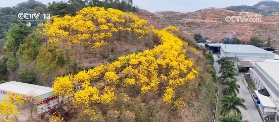 把春天的欢乐气息带进每一寸花田 赴一场限定春日浪漫