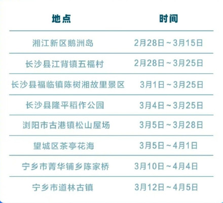 长沙油菜花海已上线，比往年早10天！这份赏花攻略请查收