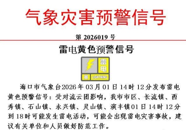 雷雨大风+雷电！海口发布黄色预警