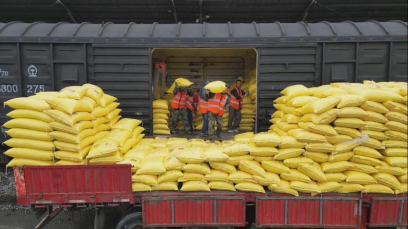 江西：应对持续降雨 铁路“快卸快运”守护春耕物资