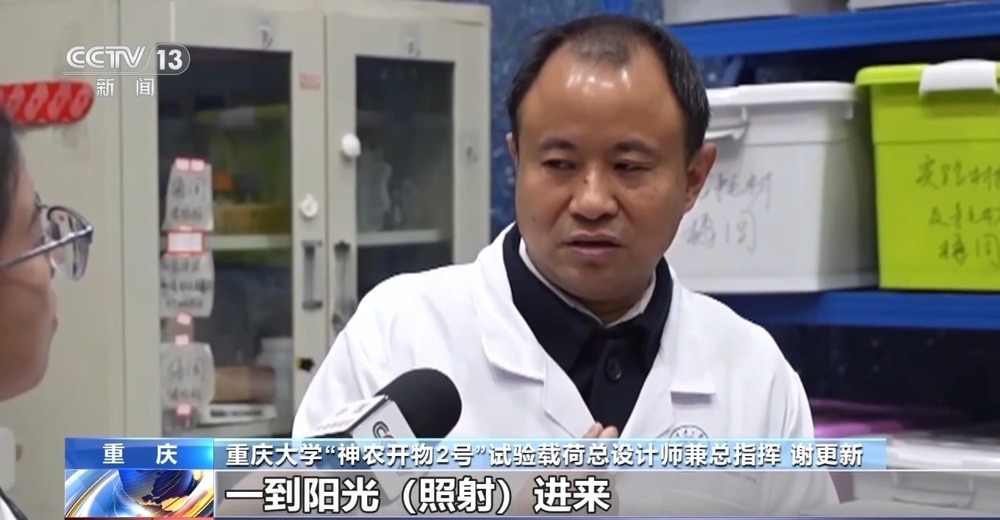 “太空蝴蝶”破蛹展翅 我国太空生物试验取得新进展