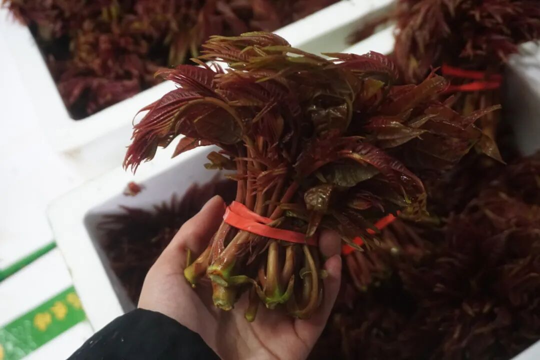 南京人爱吃的这种美味，近期大量上市