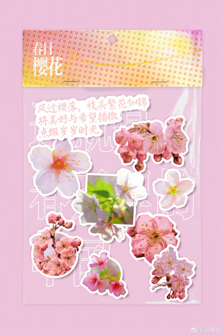 你好三月！2026进度条已过六分之一