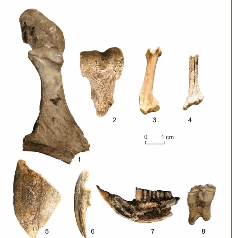 重大发现！内蒙古高原人类活动时间向前推进3000年