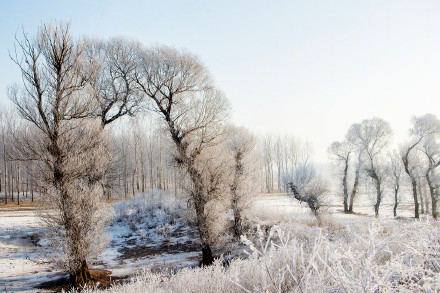 马年瑞雪给凌海披上银装 马年瑞雪给凌海披上银装