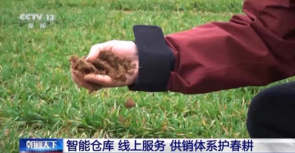 硬投入、好装备、云服务 农资保供“三件套”让种地更有奔头