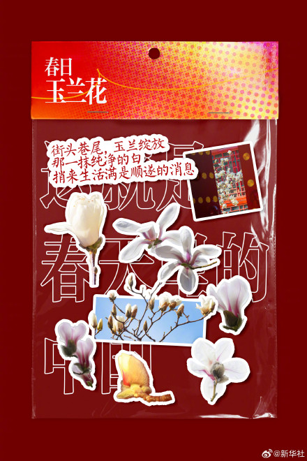 你好三月！2026进度条已过六分之一