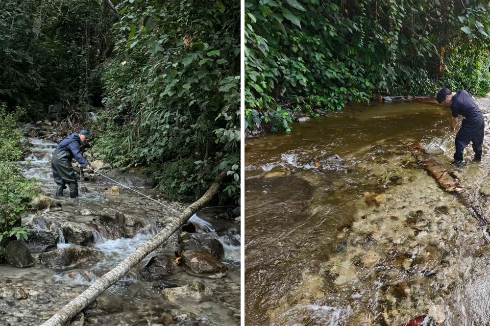 西藏墨脱发现水生昆虫新物种！