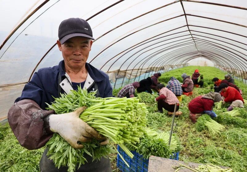 南京人爱吃的这种美味，近期大量上市