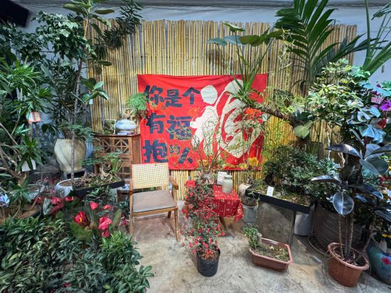 年宵花热销，鲜花消费何以“一路芬芳”