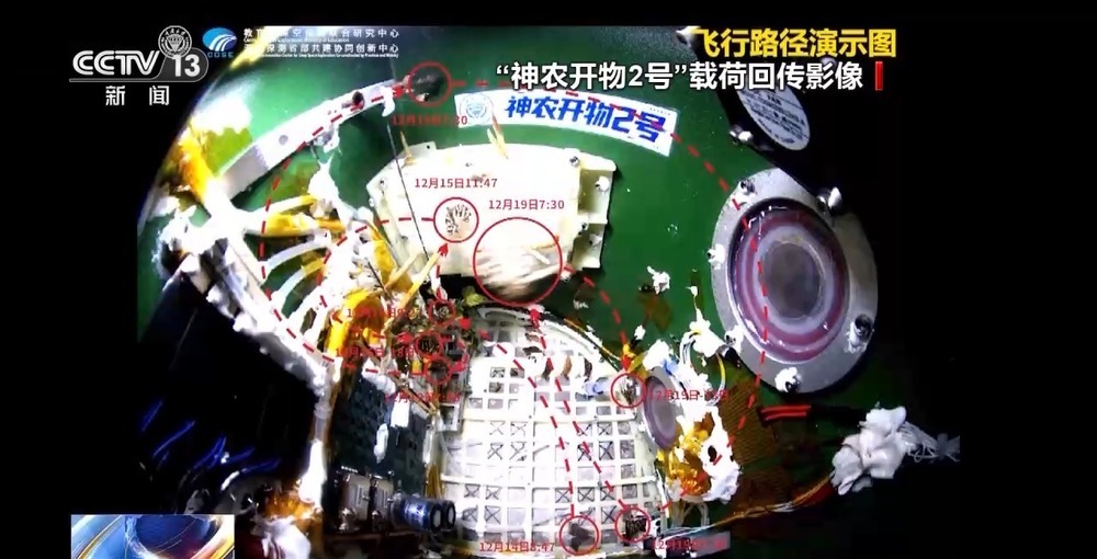 “太空蝴蝶”破蛹展翅 我国太空生物试验取得新进展