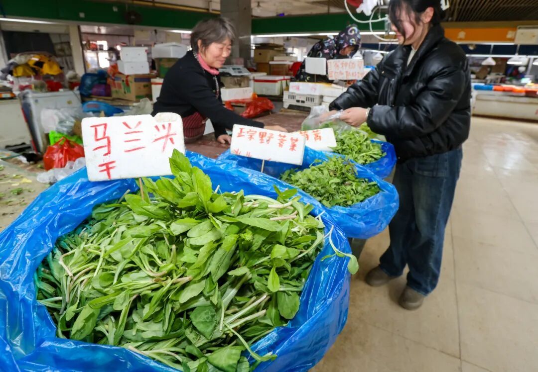 南京人爱吃的这种美味，近期大量上市