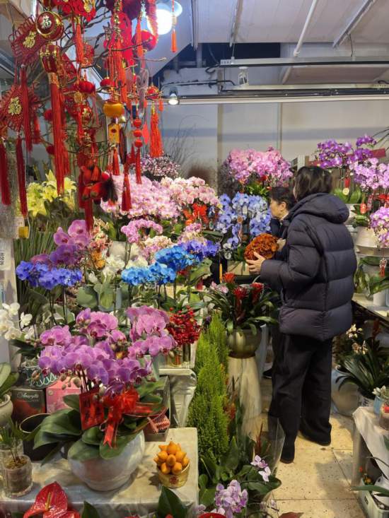 年宵花热销，鲜花消费何以“一路芬芳”