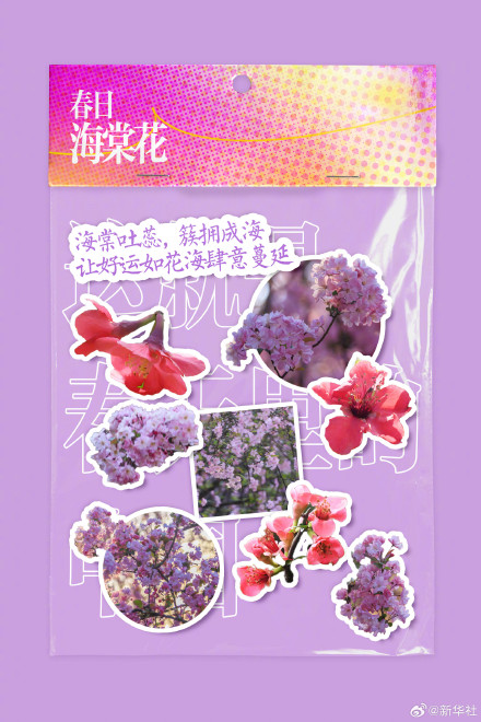 你好三月！2026进度条已过六分之一