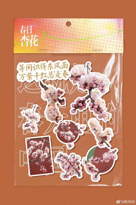 你好三月！2026进度条已过六分之一