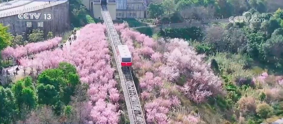 把春天的欢乐气息带进每一寸花田 赴一场限定春日浪漫
