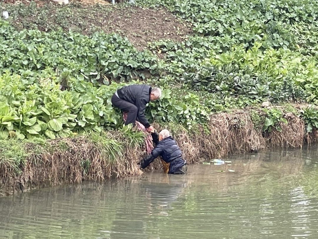 上海八旬老人坠河，救人的是72岁老人！身份藏不住了！网友狂赞