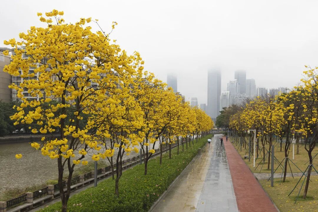 最高降6℃！广东还有大雨暴雨