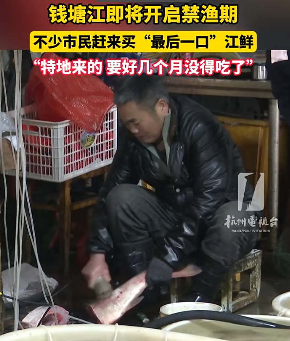 今天起,杭州全面禁渔!“要好几个月没得吃了…...”不少人赶去抢“最后一口” 今天起,杭州全面禁渔!“要好几个月没得吃了…...”不少人赶去抢“最后一口”
