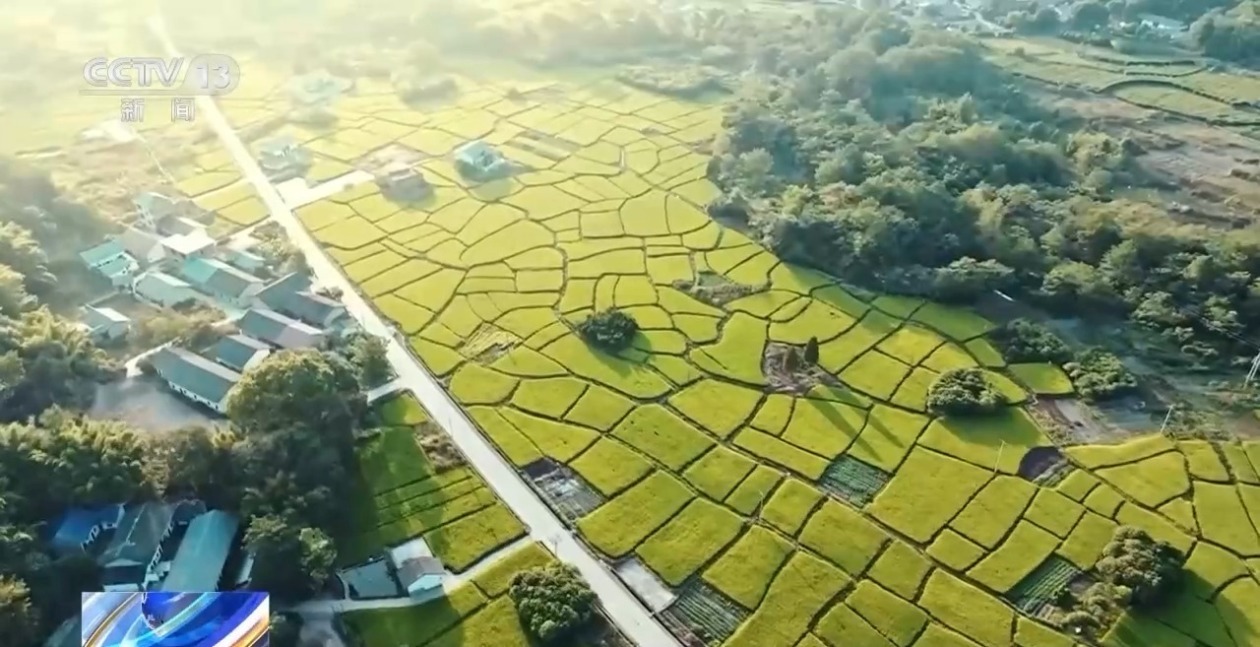 联合国驻华协调员常启德：中国以自身发展助全球共同进步