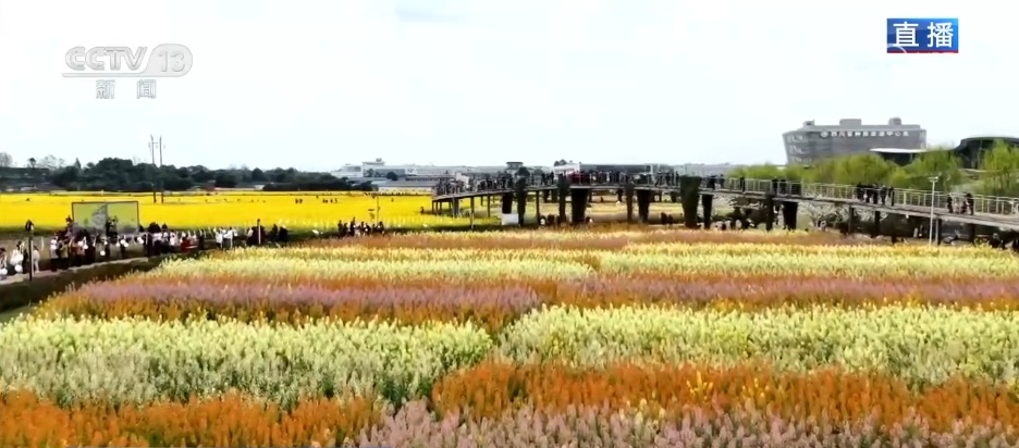 把春天的欢乐气息带进每一寸花田 赴一场限定春日浪漫