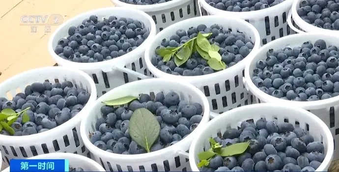 “要吃趁现在”！全年性价比最高时节，来了