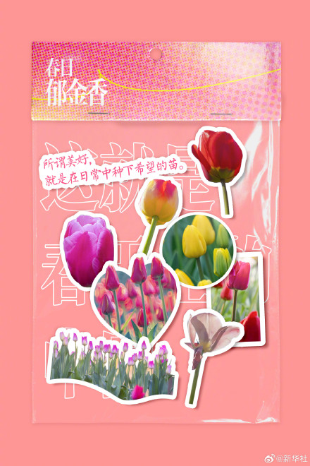 你好三月！2026进度条已过六分之一