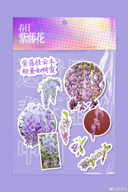 你好三月！2026进度条已过六分之一