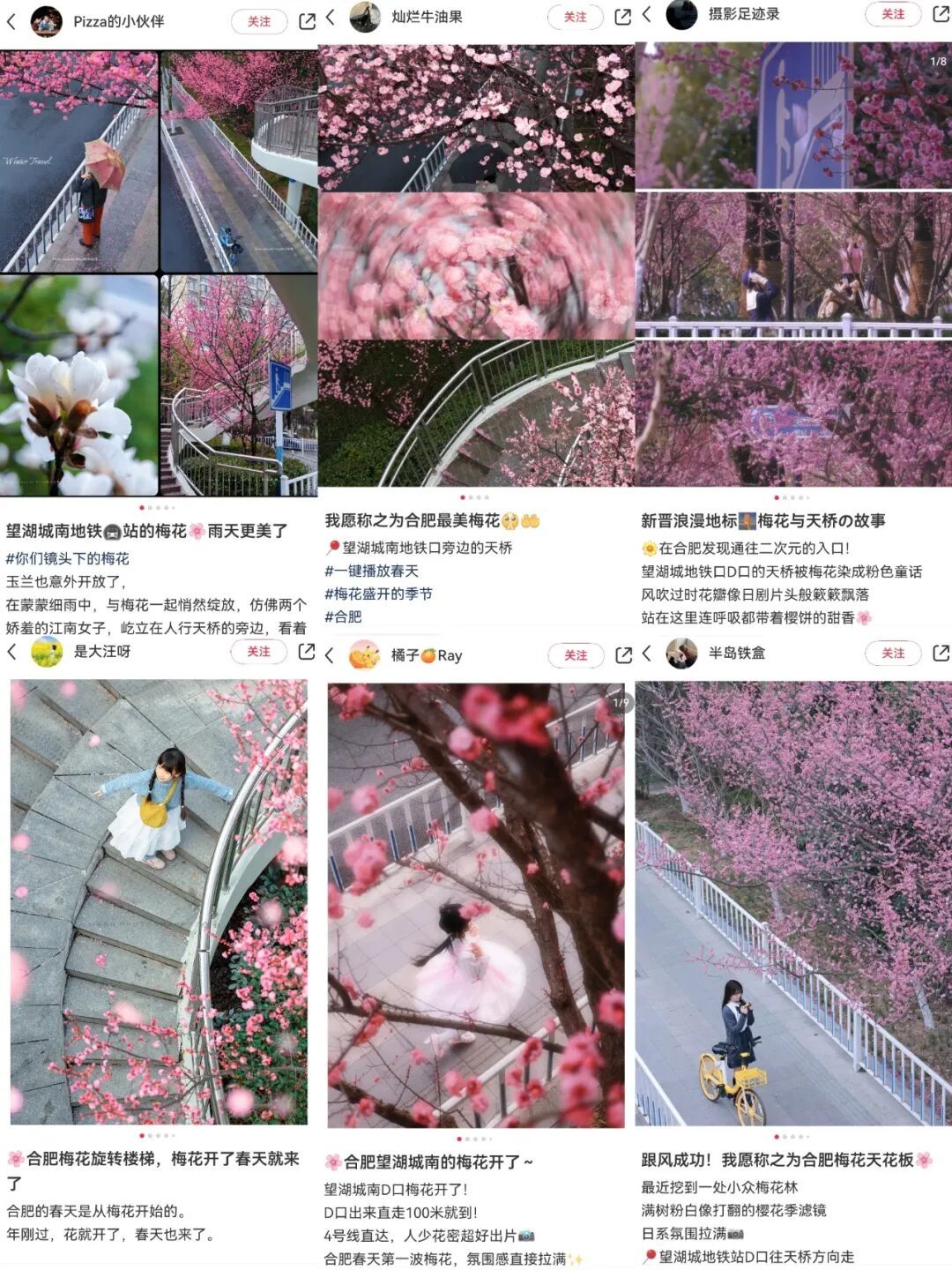 合肥“梅花天桥”火爆出圈!还有这些地方可以赏梅 合肥“梅花天桥”火爆出圈!还有这些地方可以赏梅