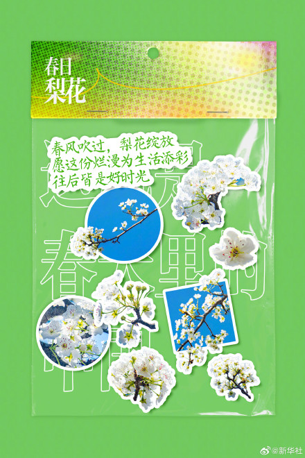 你好三月！2026进度条已过六分之一