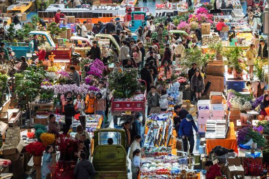 年宵花热销，鲜花消费何以“一路芬芳”
