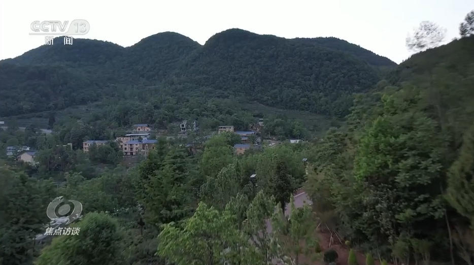 焦点访谈丨产业兴、乡村美、百姓富 “穷窝窝”如何走上振兴致富路? 焦点访谈丨产业兴、乡村美、百姓富 “穷窝窝”如何走上振兴致富路?