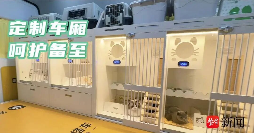 宠物被“调包”、到家染病死亡……记者调查：春节假期宠物托运需求旺盛但乱象频发