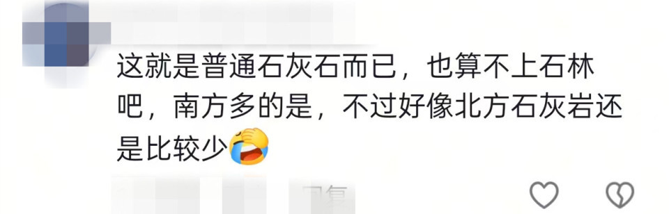 泰安一地现石林奇观场面震撼，下面有溶洞或黄金？当地：或为普通灰岩，可利用价值不大
