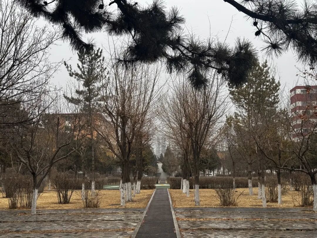 内蒙古未来三天迎大风降水降温，局地暴雪阵风9级