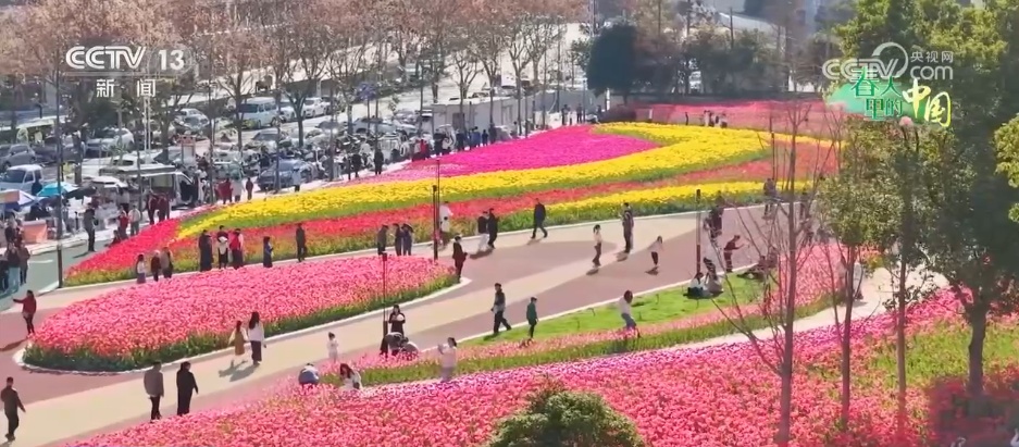 去踏青、共赏花,春意正浓!““春日经济”蓬勃绽放 去踏青、共赏花,春意正浓!““春日经济”蓬勃绽放