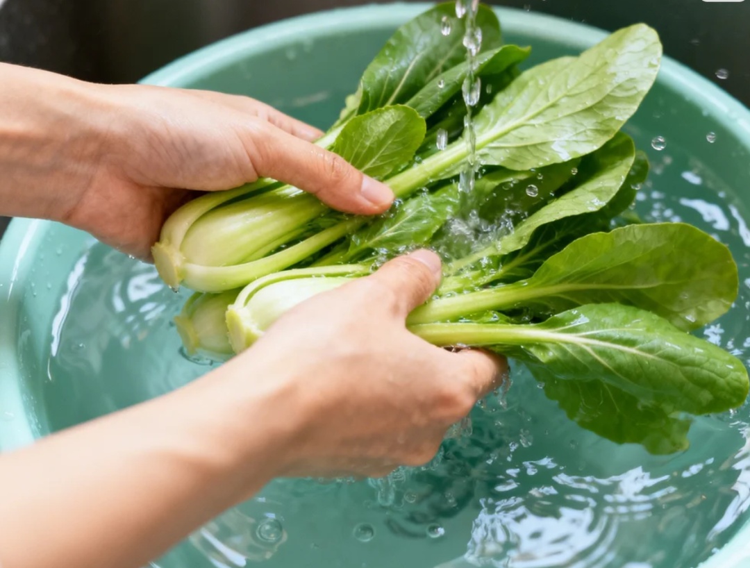 同样是洗菜，清水真的不如淘米水吗？