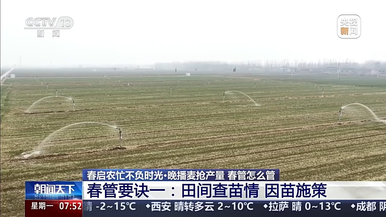 “春管一日功 夏收万担粮” 三个要诀了解冬小麦春管重点