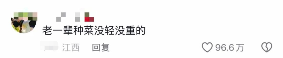 老辈子种菜“没轻没重”的……妈妈：“去摘一片菜叶来晚上炒着吃