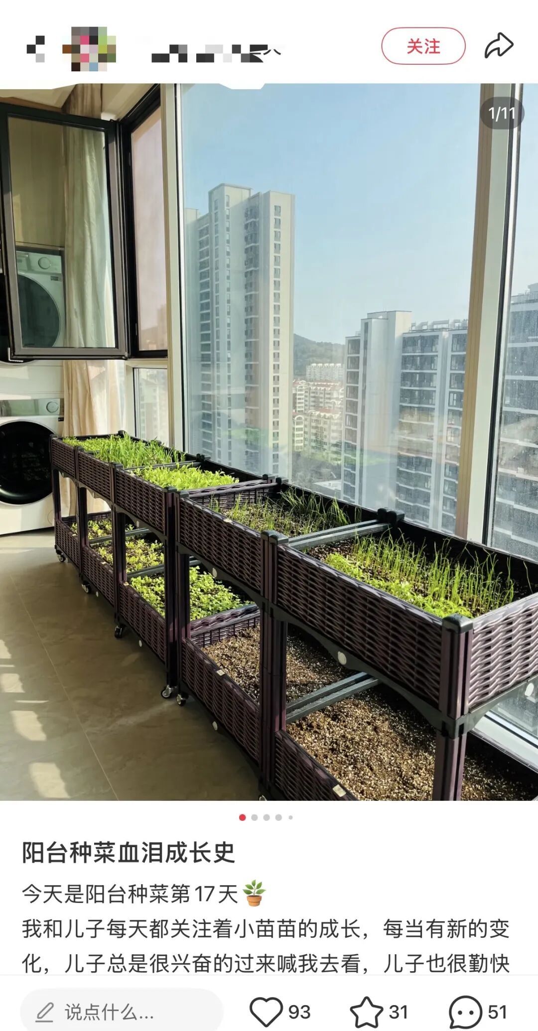 老辈子种菜“没轻没重”的……妈妈：“去摘一片菜叶来晚上炒着吃