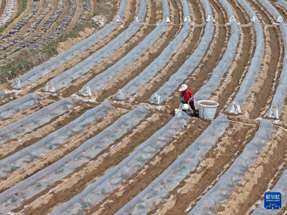 人勤春来早 农忙正当时 人勤春来早 农忙正当时