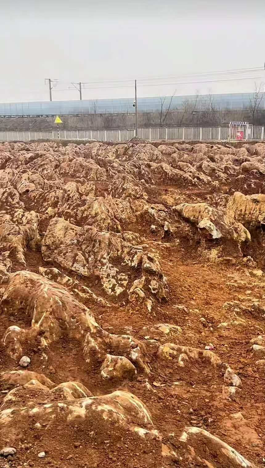 泰安一地现石林奇观场面震撼，下面有溶洞或黄金？当地：或为普通灰岩，可利用价值不大