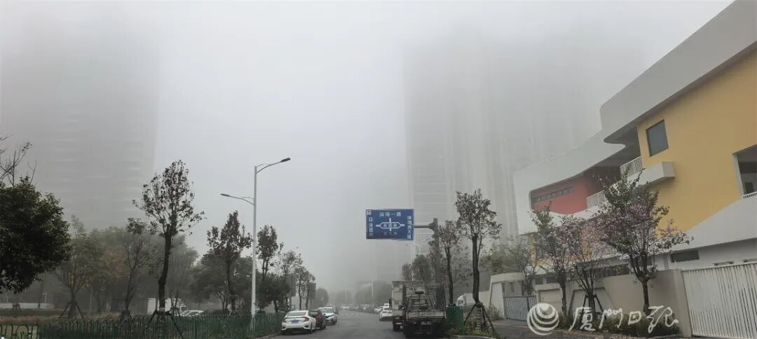 大雾预警！冷空气马上抵达！福建多地发布停航通知→